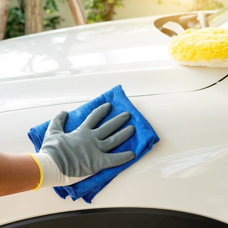 Vehicle Cleaning